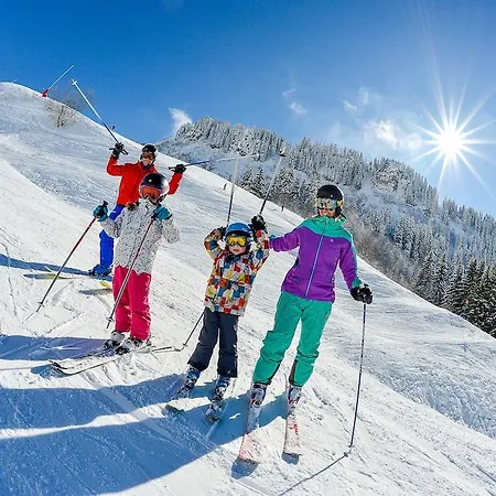 Hotel Alpen Roc 3*