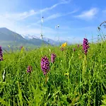 Alpen Roc فندق لا كلوساز